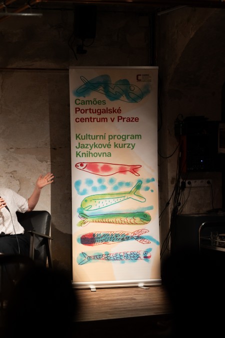 HYB4 Čítárna: Portugalské ticho: osud a tvorba Marii Judite de Carvalho