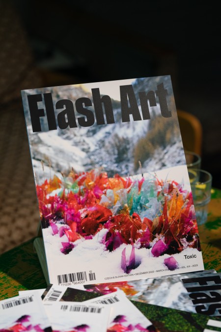Flash Art Czech & Slovak Edition 66: TOXIC